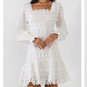 Endless Rose Lace Mini Dress